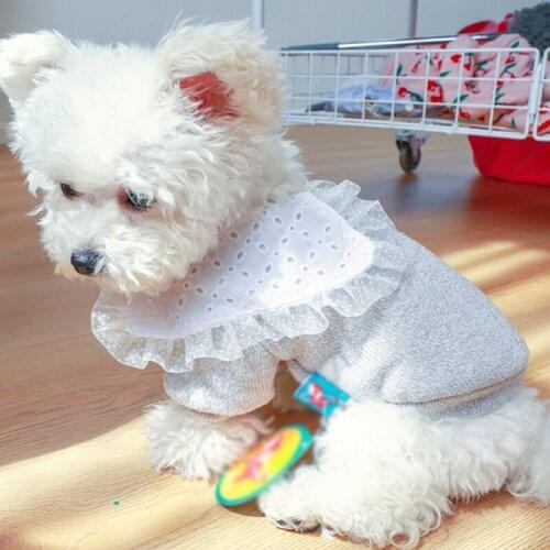 Pet Dog Costume Cute Animal Vintage Big Lace Collar Pet Coat Cotton Soft Pullover Dog Shirt Jacket Sweatshirt Cat Sweater Clothe