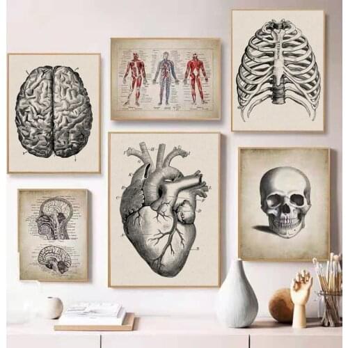 Retro Human Medical Prints English Anatomy Diagram Decorative Painting Clinic Medical Institution Doctors Office Mural