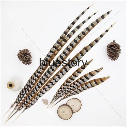 Natural pheasant feather 50-110cm Reeves pheasant tail feather Lady Amhurst pheasant feathers
