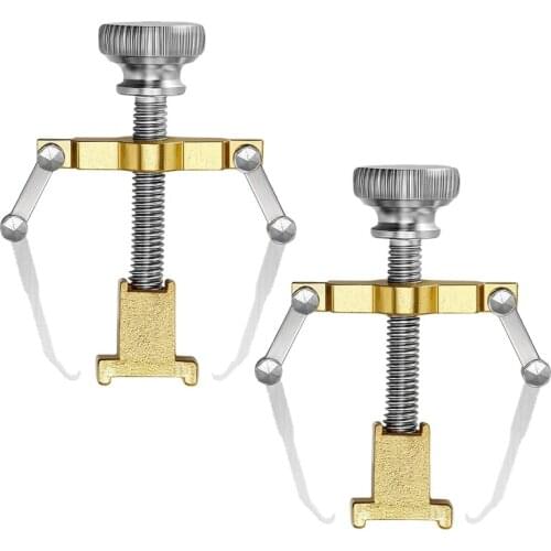 2 Pcs Ingrown Toenail Lifter Ingrown Toenail Tool Toe Clamp for Paronychia