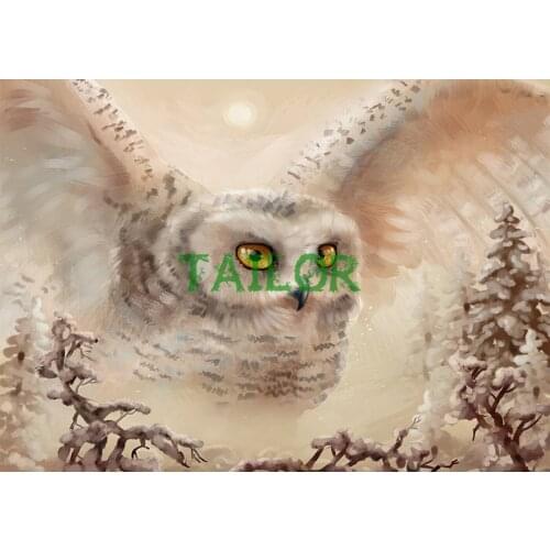 Wall stickers kit set Full square 5D diamond painting Cross stitch haft diamentowy Cuadros animals bird owl Mosaic art colour 5