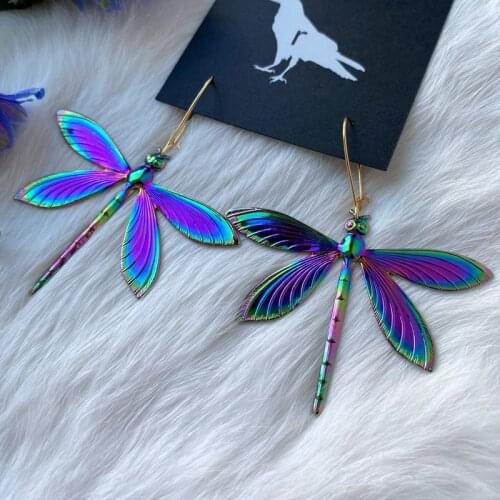 Fashion Rainbow Color Psychedelic Big Dragonfly, Big Beetle Cicada Earrings, Fancy Unique Earrings for Ladies and Girls