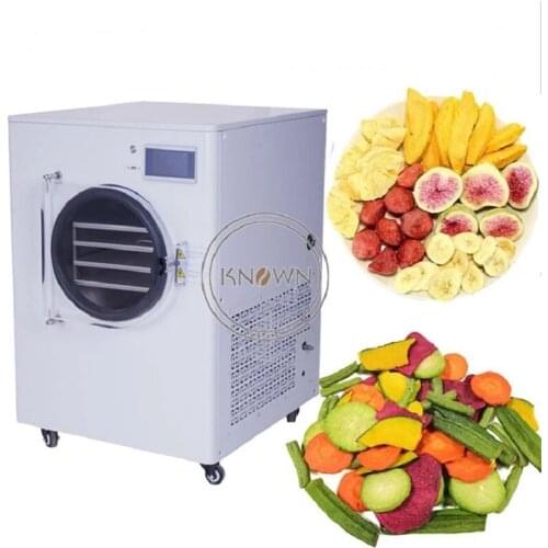 Small Freeze Drying Machine Home Used Food Frozen Dryer Equipment for Vegetable and Fruit