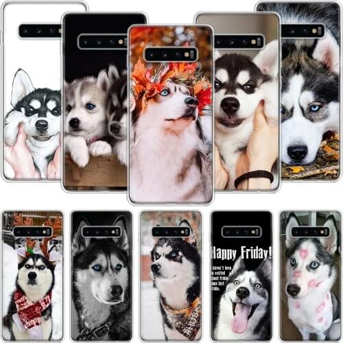 Siberian Husky Dog Phone Case For Samsung Galaxy S10 S20 S21 S9 S8 S7 Note 10 20 9 8 FE J4 J6 Ultra Plus Lite Pro + Edge Cover