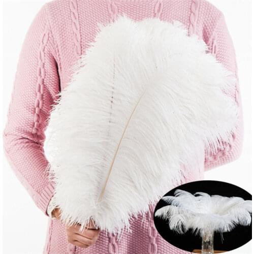 10pcs Elegant Ostrich Feather White Black Red Fluffy Feather for Wedding Party Home Room DIY Decorations 15-20cm/25-30cm/30-35cm