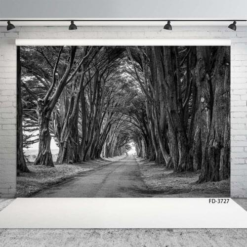Wedding Baby Child Photography Black And White Tree Forest Road Path Scenery Backdrops Photocall Photo Studio Background Props