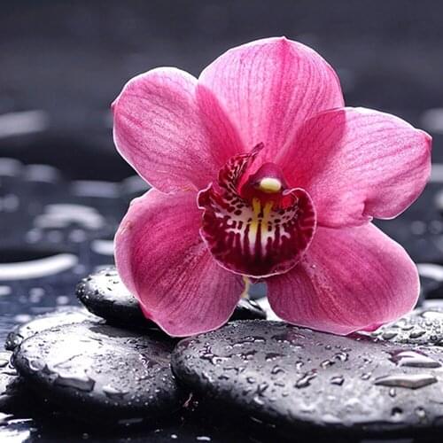 Full Square/round Diamond 5D DIY Diamond Painting Pink flowers Embroidery Cross Stitch Rhinestone Mosaic Home Decor