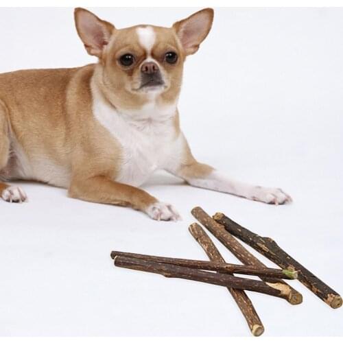 10Pcs Natural Catnip Pet Cat Toy Molar Toothpaste Branch Cleaning Teeth Silvervine Matatabi Cat Snacks Sticks