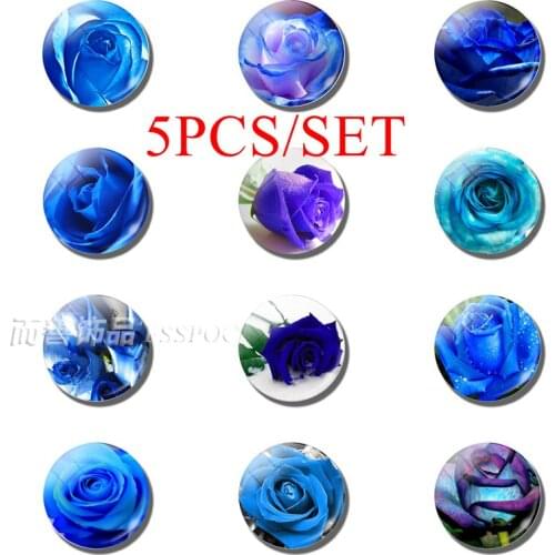 5PCS/SET 5PCS/SET Blue Enchantress Blue Love Rose Flower Lover Jewelry 25MM Glass Dome Craft Supplies Supplies Making Lover Gift
