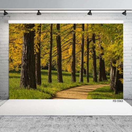 Grove Grassland Pathway Photography Background Customized Fond Backdrop for Children Baby Pets Portrait Photoshoot Photo Studio