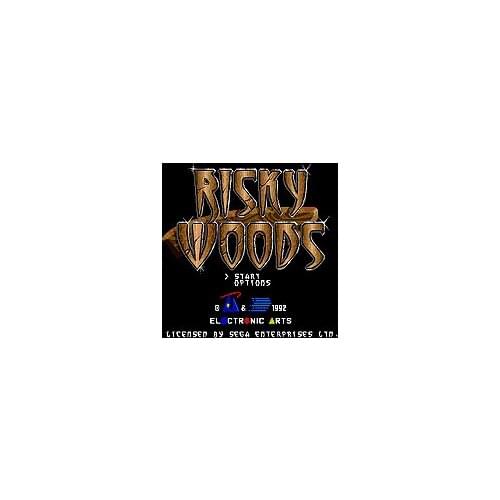 Risky Woods 16 bit MD Game Card For Sega Mega Drive For SEGA Genesis