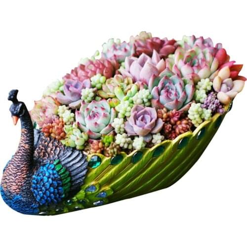 Handmade Peacock Succulent Planter Pot Vintage Cactus Planter Flower Pot Succulent Container Decorative Succulent Planter