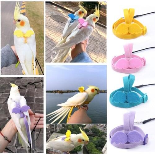 Adjustable Parrot Bird Harness Leash Set Anti-bite Training Harness For Parrots Outdoor Flying Rope For Cockatiel Small Birds