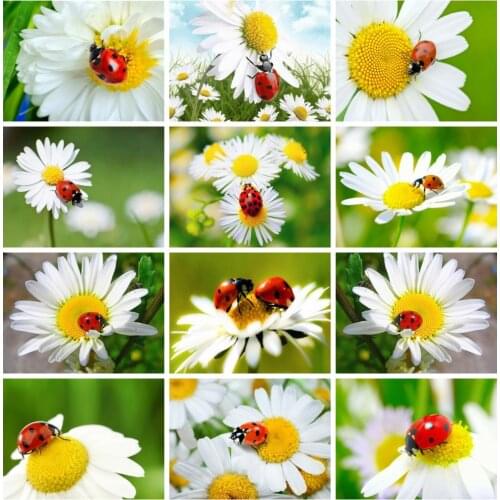 EverShine Diamond Painting Full Square Flowers Cross Stitch Diamond Embroidery Daisy Rhinestones Mosaic Art Kits Home Decor