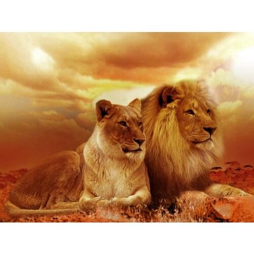 DIY Diamond 5D Embroidery Paintings Resin Square Rhinestone Full Pasted Unfinished Painting Cross Stitch Lion