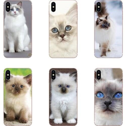 Lovely Ragdoll Kitten Cat Pet TPU Cute Case For Sony Xperia Z Z1 Z2 Z3 Z4 Z5 compact Mini M2 M4 M5 T3 E3 E5 XA XA1 XZ Premium