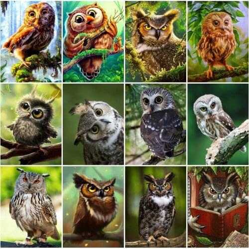 AZQSD Diamond Embroidery Owl Mosaic Picture Of Rhinestone Full Square Diamond Painting Animal Cross Stitch Handicraft Home Decor