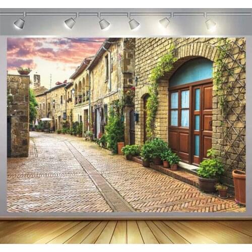 Retro Old Stone Road Alley Photo Backgrounds European House Buildings Family Kids Portrait Backdrops For Photographer