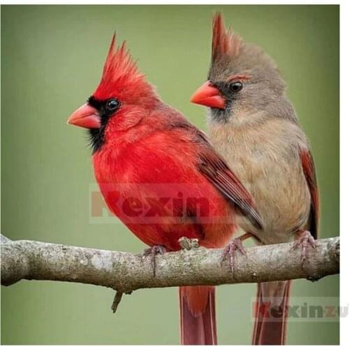 Kexinzu 5D DIY Full Square Drill Diamond Painting"Animal Bird"3D Embroidery Rhinestone Cross Stitch 5D Home Decor Gift K816