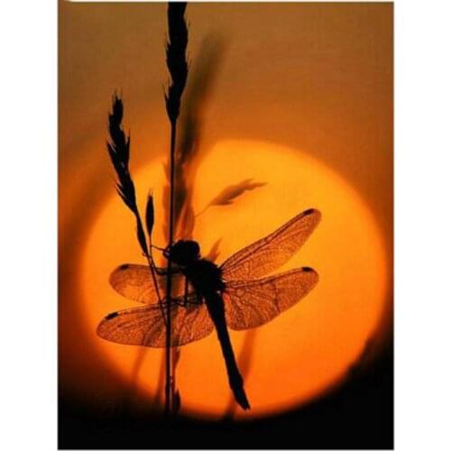 5D DIY Diamond Painting Cross Stitch Diamond Mosaic Wall Sticker Sunset dragonfly Suitable for Home Decor WG847