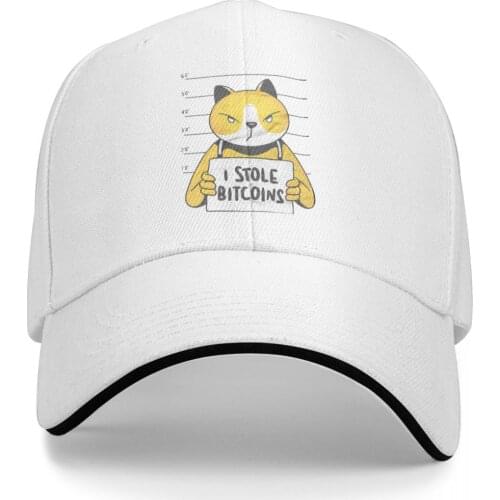 Bitcoins Stolen Cat Funny Bitcoin Design Hkg Promo Mens and Womens caps Print Anime Baseball summer Novelty cap