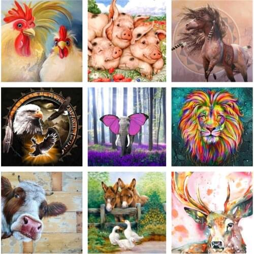 Megayouput Diamond Embroidery Kits