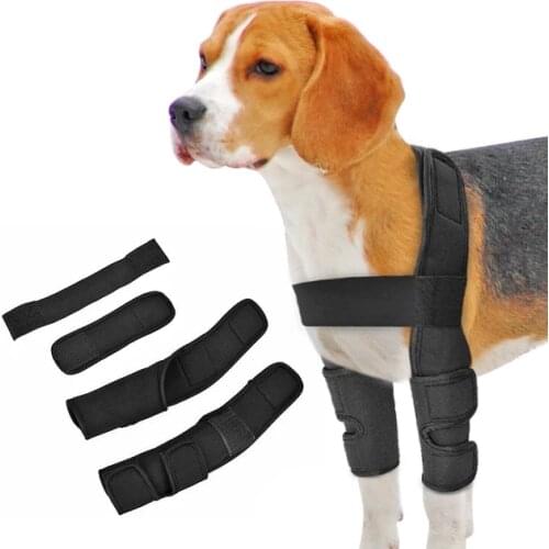 Dog Knee Brace Injuries Leg Brace Surgical Joint Wrap Dog Wounds Heals Canine Front Leg Arthritis Prevents Dogs Medical Supplies