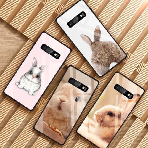 Rabbit Tempered Glass Phone Case For Samsung Galaxy S8 S9 S10 S20 PLUS J6 J8 2018 NOTE 8 9 10 Cover Shell
