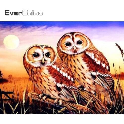 EverShine Diamond Embroidery 5D DIY Owl Diamond Painting Full Drill Square Animal Rhinestones Picture Mosaic Handmade Hobby