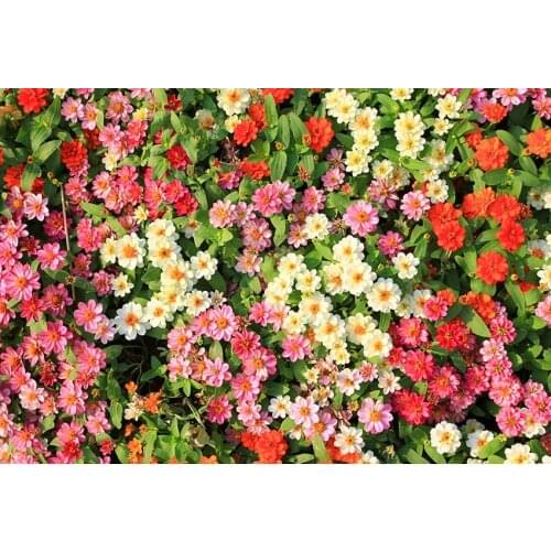 Natural flowers wall backgrounds vinyl fotografia baby birthday photography backdrops for photo studio props photophone lv-1652