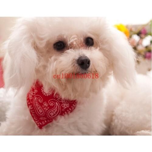 Fedex DHL Free Shipping Newest Small Adjustable Pet Dog Cat Bandana Scarf Collar Neckerchief S/M/L/XL Size,300pcs/lot