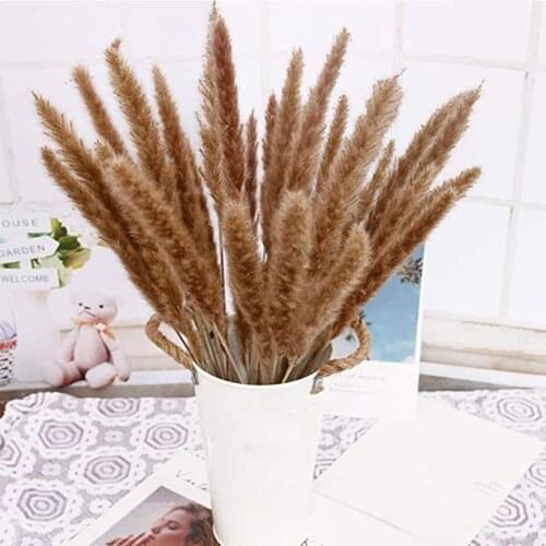 Dried Pampa Grass Bouquet No-shadding Reed floc Feather Vase Decoration Boho style Wedding Vase Ornament