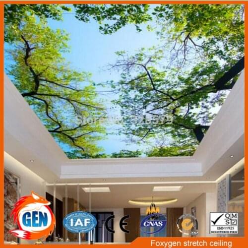 Suspended ceiling panels blue sky and flowers ceiling design for bedroom