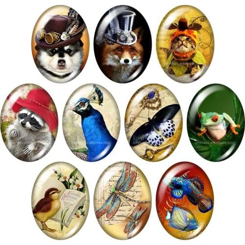 Lovely Animals Cat Horse Dog Bird 13x18mm/18x25mm/30x40mm mixed Oval photo glass cabochon demo flat back Jewelry findings TB0059