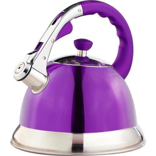 Hausroland Heat Insulation Handle Kettle Purple Color Hot Water Boiler 3.5L