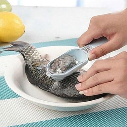 ZEEGLE Instruments For Seafood