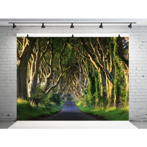 VinylBD 300x300cm Forest Photography Backdrops Tree Background Studio Photography Road Children Microfiber Photobooth Background