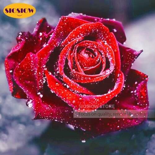 5d Diy Diamond Painting Rose Flower Full Square Drill Daimond Cross-stitch Mosaic Embroidery Wedding Valentines Day Love Gifts