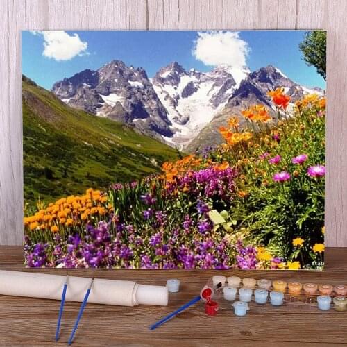 Flower Landscape Painting By Numbers Kit Oil Paints 50*70 Canvas Pictures Loft Picture For Children Wholesale Art