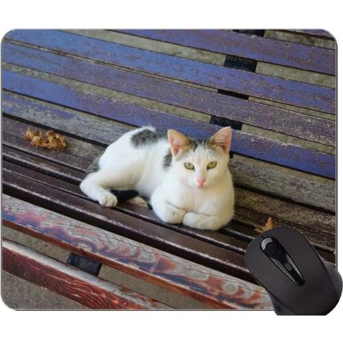 Mouse Pad with Stitched Edge,Pet animal cat bench Home Office Computer Accessories Mousepads