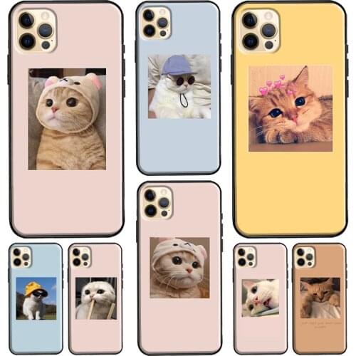 Funny Cute Lovely Cat Silicone Case For iPhone XR X XS Max 5S 6S 7 8 Plus SE 2020 11 12 Pro Max Phone Cover