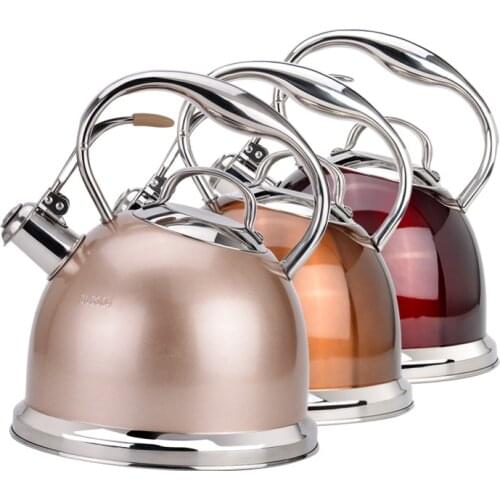 Boiling Water Kettle Large Capacity Induction Cooker Gas Green Kettle Stainless Steel Eco Friendly Czajnik Cookware EB50WK