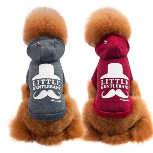 Warm Pet Clothes For dog Clothing Autumn Winter Clothing for dog Coat Puppy Outfit Cats Clothes for dog Hoodies samll beard