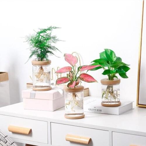 Plant Pots Lazy Transparent Flower Pot Transparent Pot Automatic Water-absorbing Flowerpot Imitation Glass
