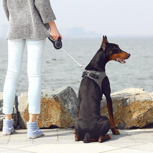 Harnesses PETKIT China