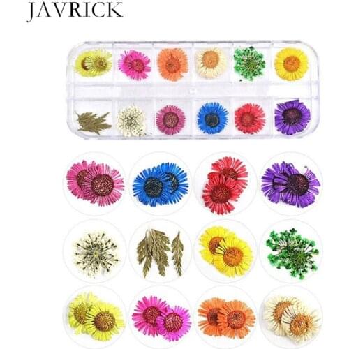 1 Box Real Pressed Flower Leaves Dried Daisy Flower Resin Art Crafts Tools DIY Accessories Jewelry Making Tool
