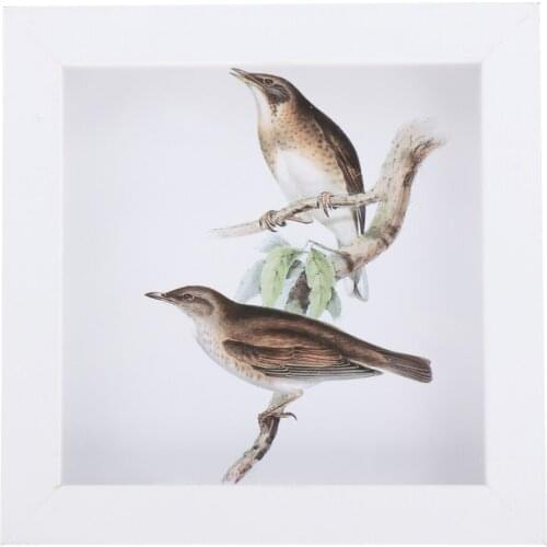 6" 7" Wood Frame Picture Frame Photo Frame Dried Flower Frame Specimen Frame