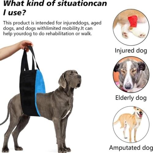 Pet Dog Care Traction Rope Leg Injury Disabled Elderly Dog Walking Aid Belt Harness Pet Walking Aid Sling Pet Accessories