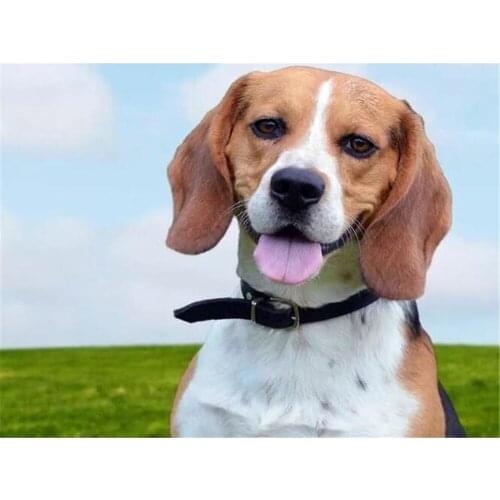 Animal Dog Beagle DIY Cross Stitch 11CT Embroidery Kits Craft Needlework Set Printed Canvas Cotton Thread Home Dropshipping