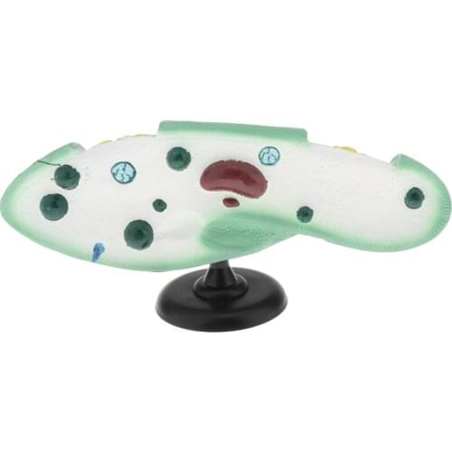 Biology Instrument for Paramecium Model